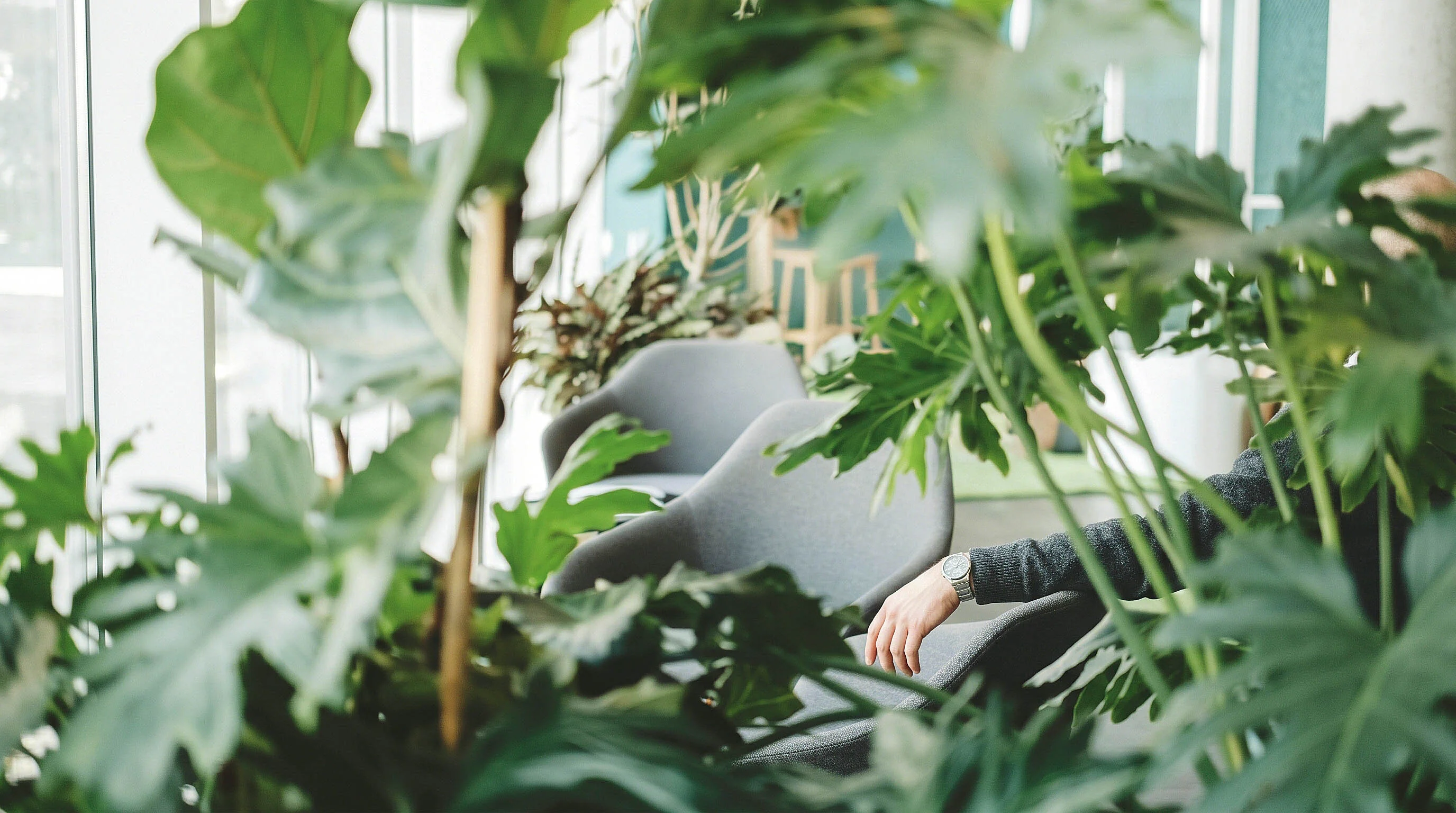 Finbee — grip op stuurinformatie voor CFO's